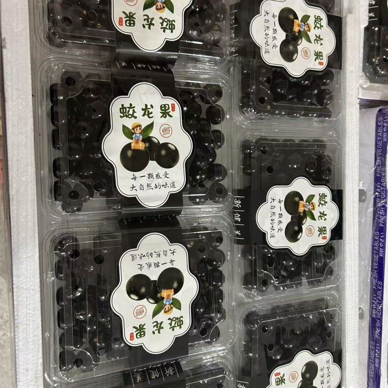 精品蛟龙果嘉宝果，基地直发，品质保证，可对接电商社区团