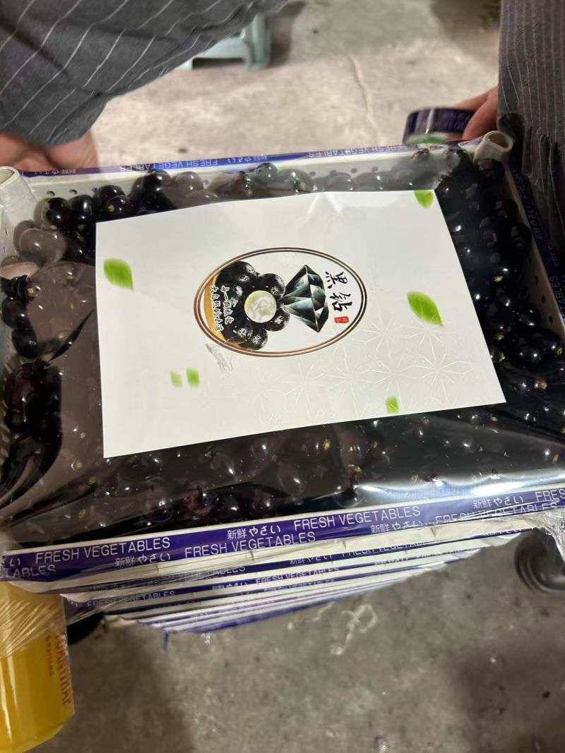 精品蛟龙果嘉宝果，基地直发，品质保证，可对接电商社区团