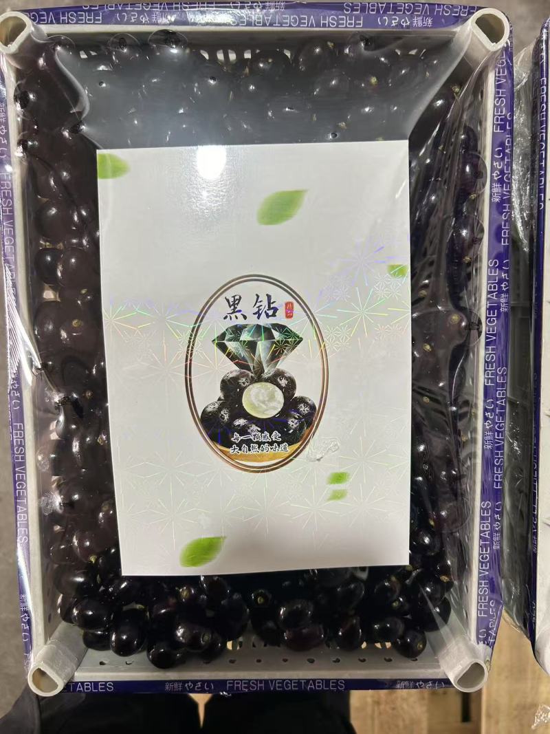 精品蛟龙果嘉宝果，基地直发，品质保证，可对接电商社区团