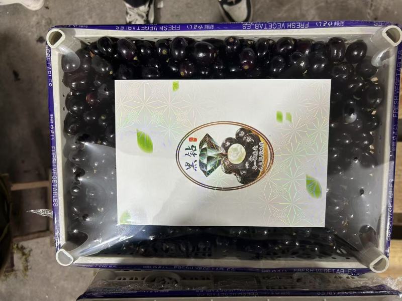精品蛟龙果嘉宝果，基地直发，品质保证，可对接电商社区团