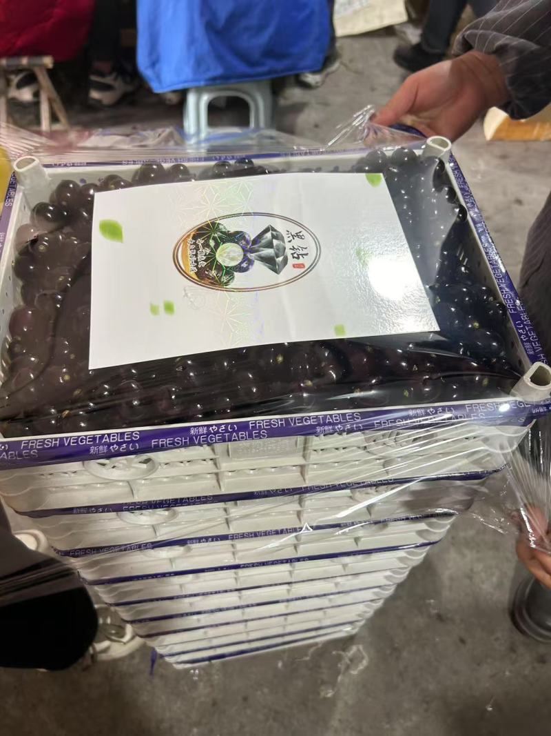 精品蛟龙果嘉宝果，基地直发，品质保证，可对接电商社区团