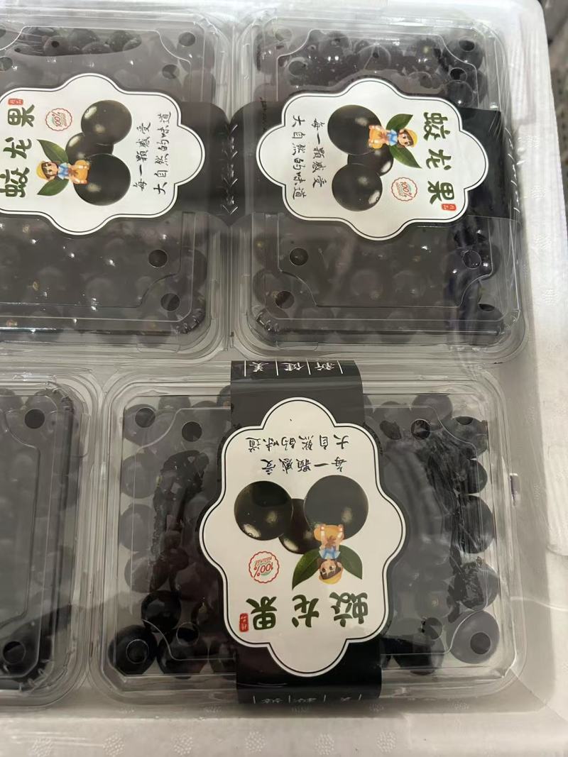 精品蛟龙果嘉宝果，基地直发，品质保证，可对接电商社区团
