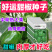 甜椒种子中早熟果绿色坐果能力好肉厚脆甜耐运输