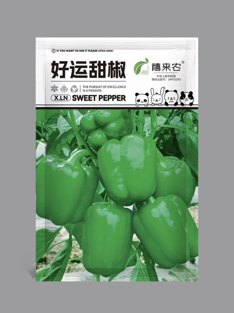 甜椒种子中早熟果绿色坐果能力好肉厚脆甜耐运输