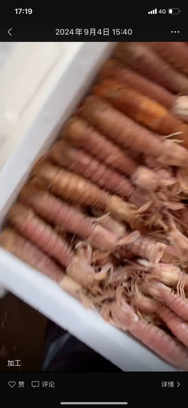 皮皮虾，一件代发，皮皮虾，连云港，皮皮虾一件代发