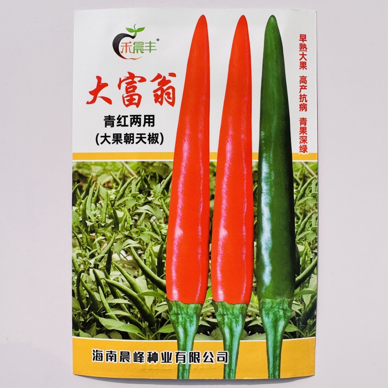 大富翁朝天椒种子早熟大果型青红两用朝天椒海椒种子高产抗病