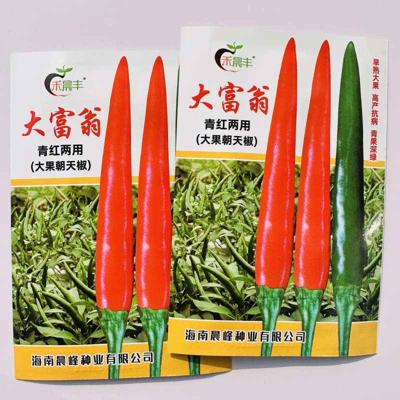大富翁朝天椒种子早熟大果型青红两用朝天椒海椒种子高产抗病