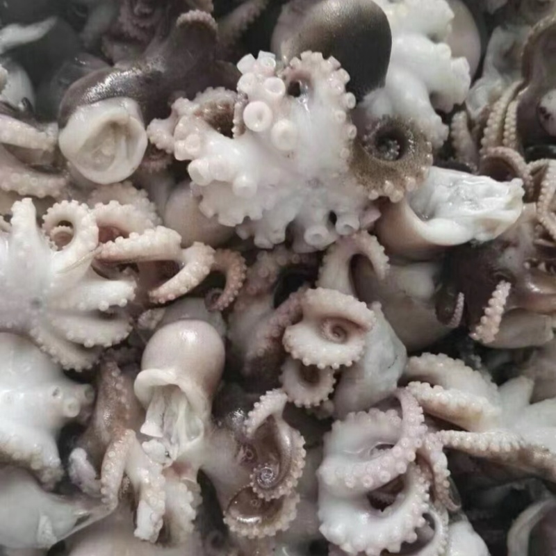 迷你八爪