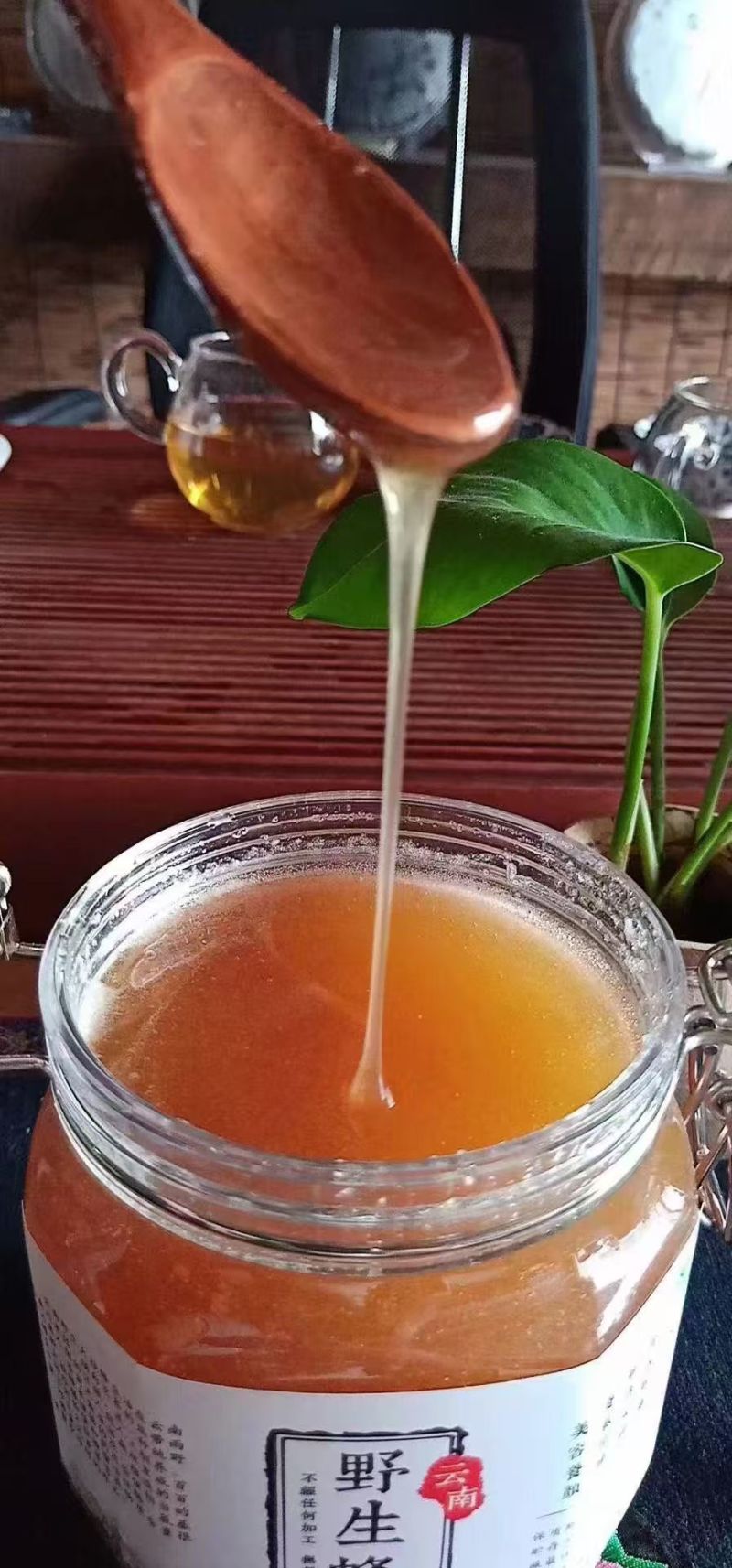 版纳野生树挂蜜