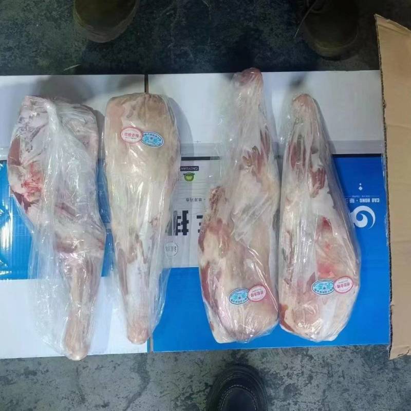 清真内蒙羔羊前腿，一手货源，支持全国冷链发货，