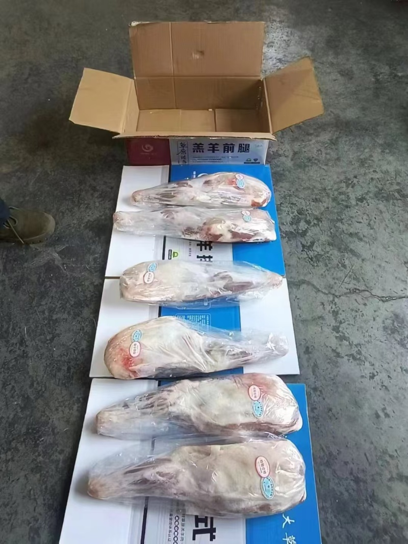 清真内蒙羔羊前腿，一手货源，支持全国冷链发货，