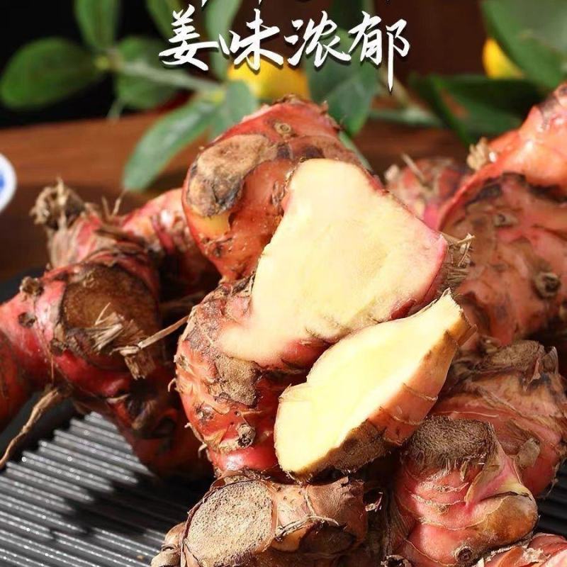 新鲜山姜头潮汕老南姜山姜南姜山姜南姜山姜整箱包邮蔬菜山姜