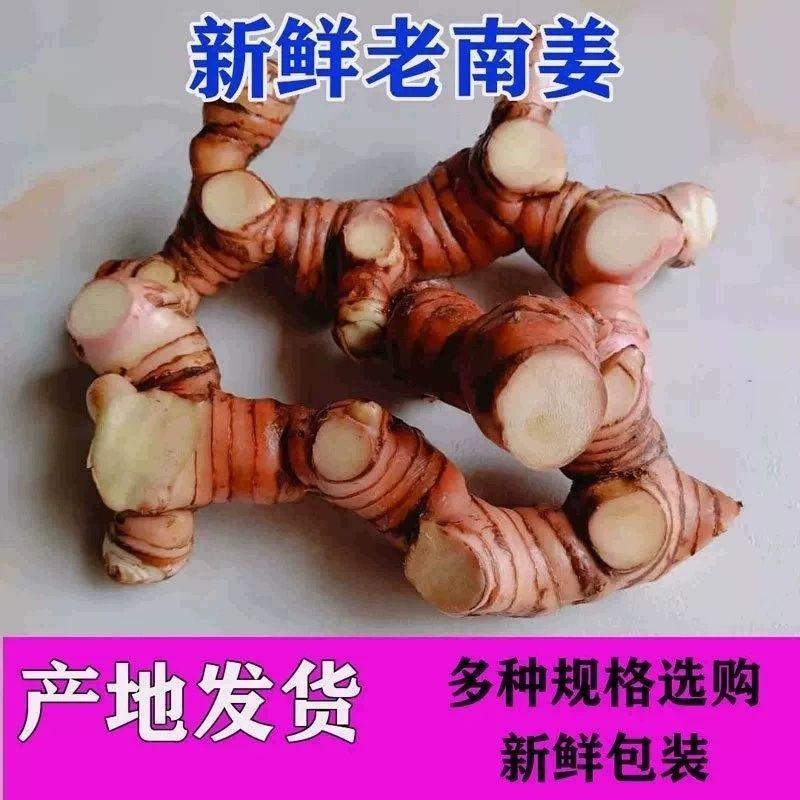新鲜山姜头潮汕老南姜山姜南姜山姜南姜山姜整箱包邮蔬菜山姜
