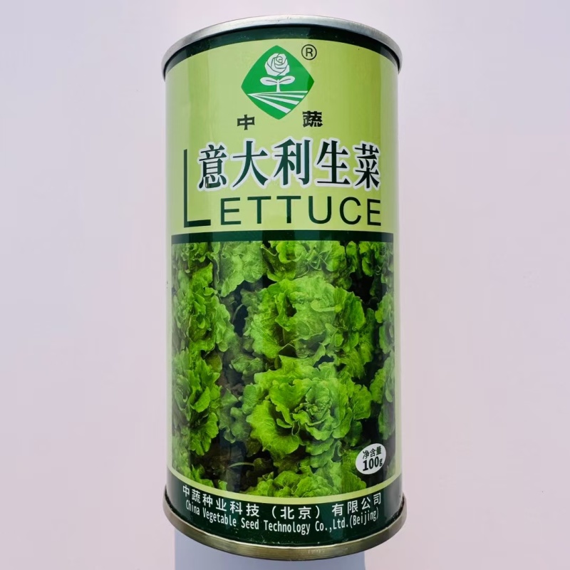 中蔬意大利生菜种子耐热农科院种籽四季半结球生菜种子耐寒