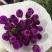 云南昆明基地直发鲜花多头千日红玫瑰配花办公室客厅水养卧室