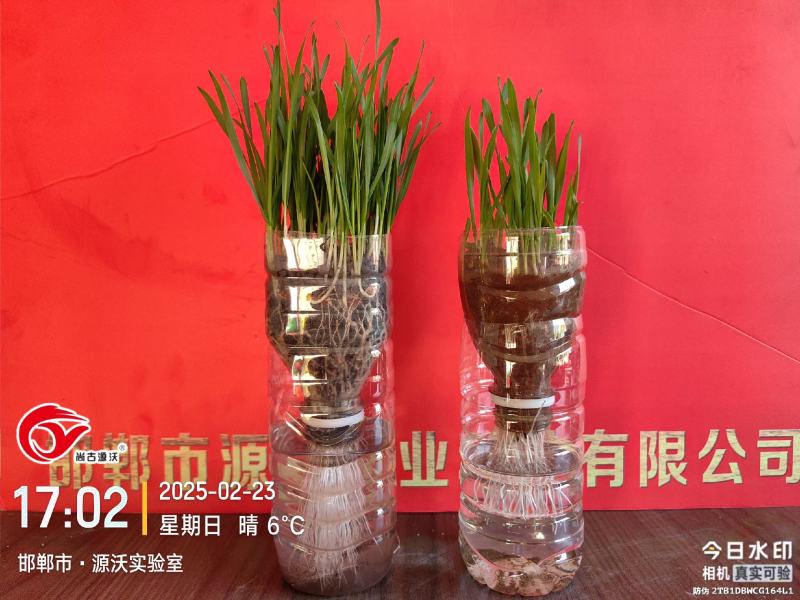 氨基酸微生物菌剂