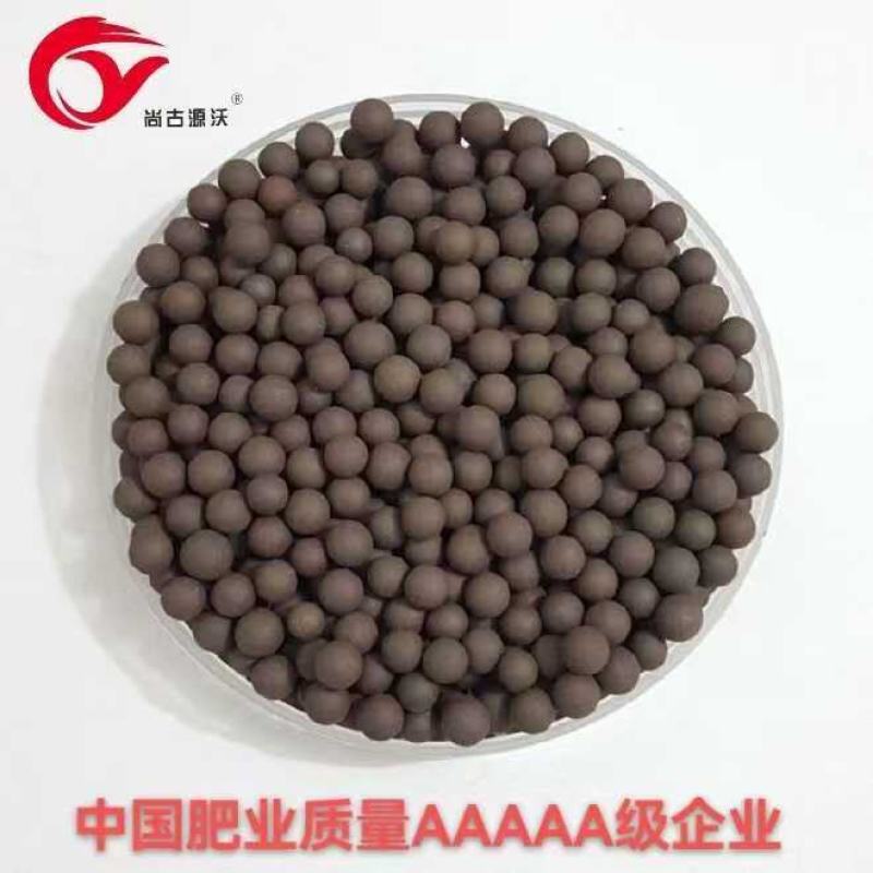 氨基酸微生物菌剂