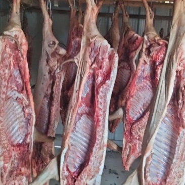 西藏本地现宰藏香猪肉批发零售