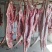 西藏本地现宰藏香猪肉批发零售