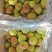 红香酥梨大量有货，规格大，果面干净，脆甜爽口，细腻无渣