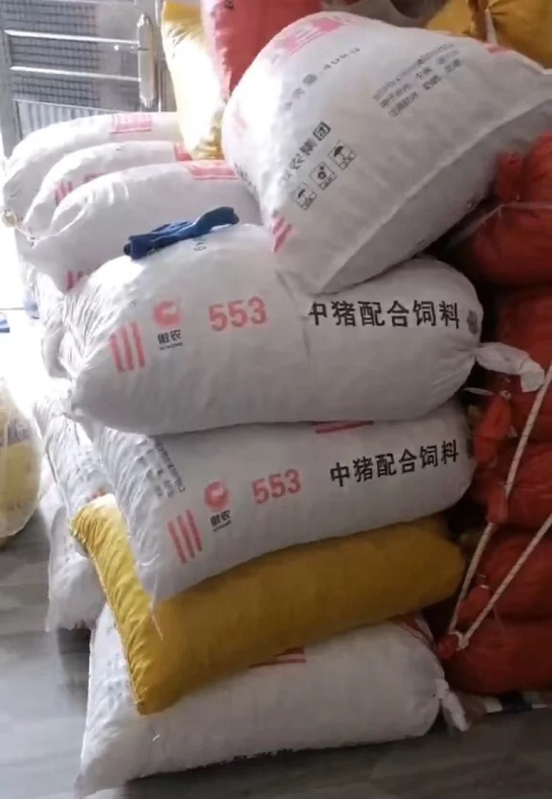 产地野生狗鞭果毛毛果猪仔粒干货批发大清仓