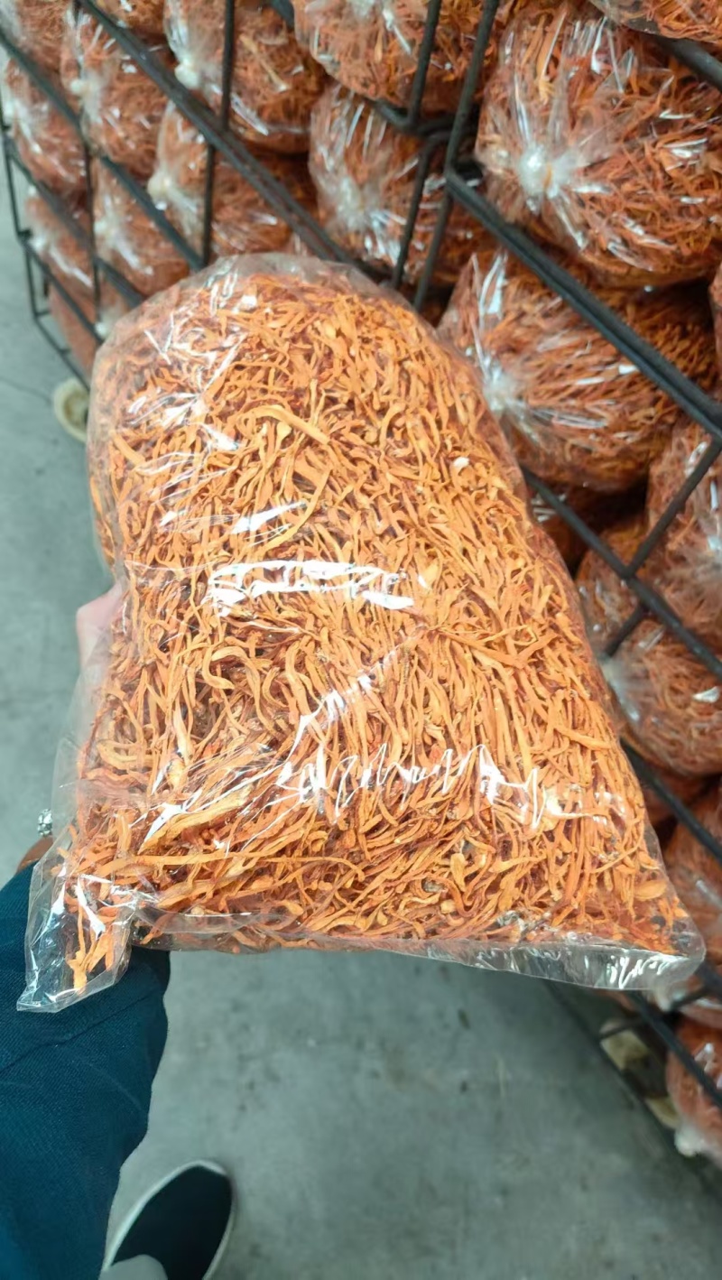 虫草花天然无硫大量现货规格齐全全国发货欢迎合作