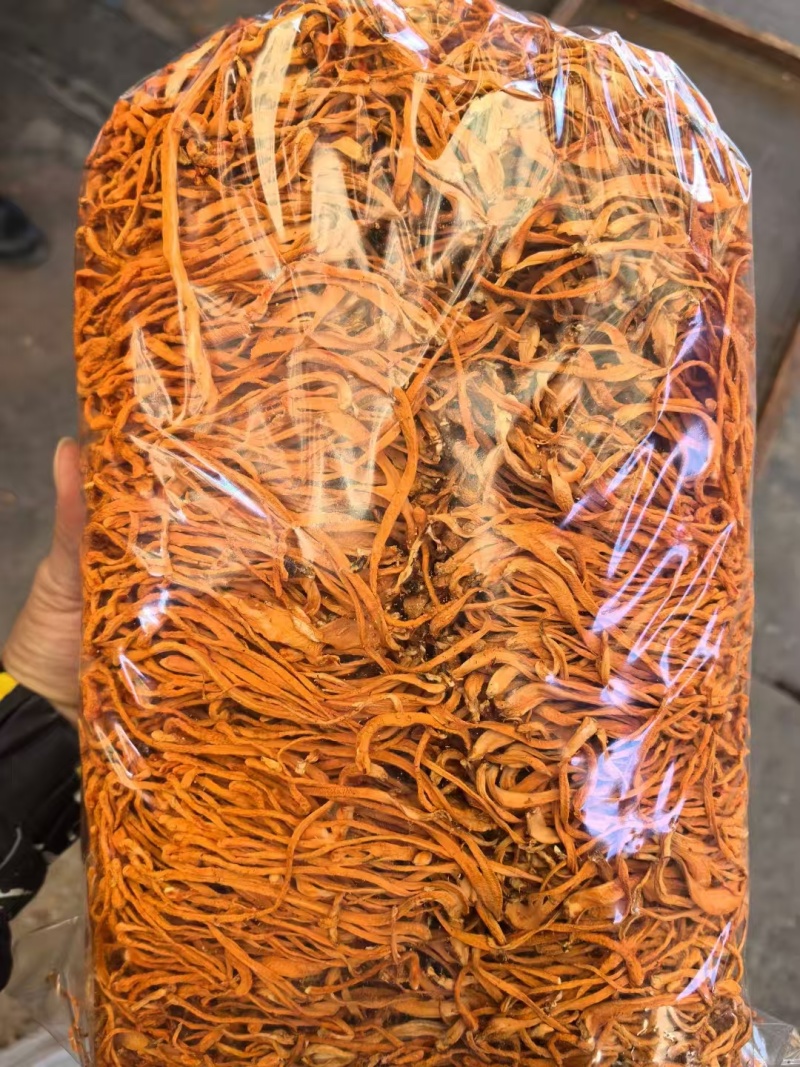 虫草花天然无硫大量现货规格齐全全国发货欢迎合作