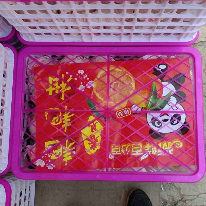 蒲江春见耙耙柑批发直发代发，二十四小时在线服务。