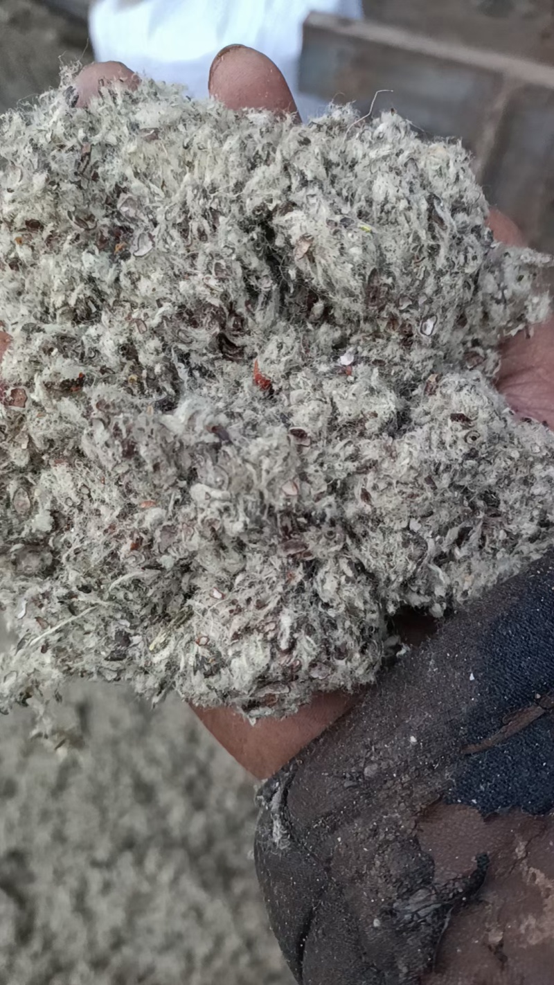 棉籽壳厂家直销。磨盘棉籽壳，大绒大粉优质棉籽壳，中壳中绒