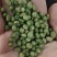 双青豆色选料豆制品原料磨粉原料食品厂专用