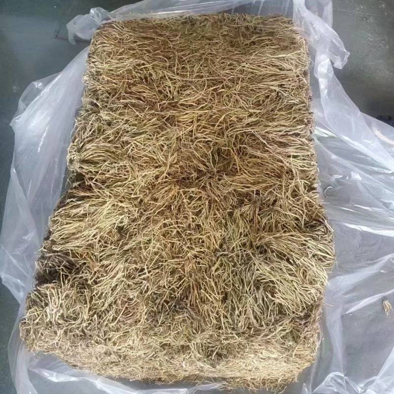 大量供应东北地产北龙胆干货，水洗滚筒摆盘货，品质有保证！