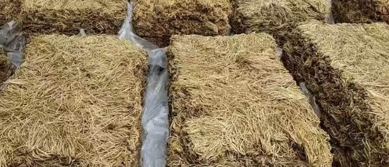 大量供应东北地产北龙胆干货，水洗滚筒摆盘货，品质有保证！