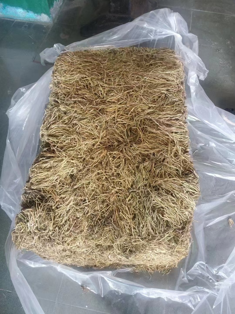 大量供应东北地产北龙胆干货，水洗滚筒摆盘货，品质有保证！