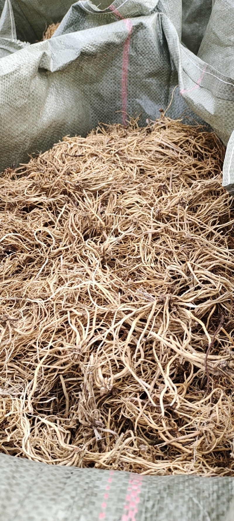 大量供应东北地产北龙胆干货，水洗滚筒摆盘货，品质有保证！