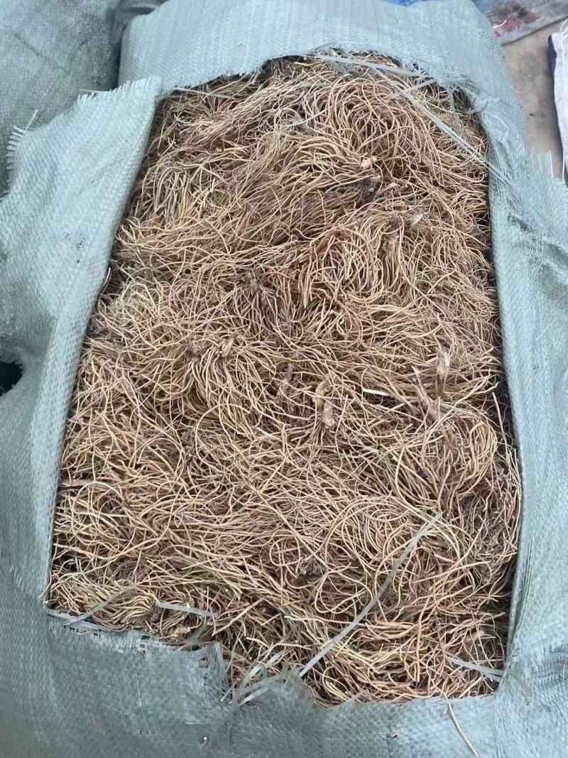 出售东北地区自产白薇干货，烘干货，干度好，品质佳！！！