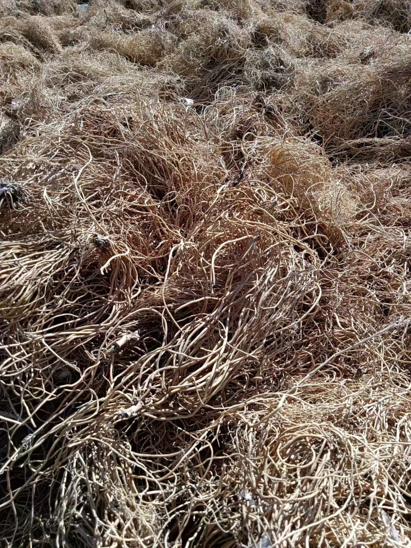 出售东北地区自产白薇干货，烘干货，干度好，品质佳！！！