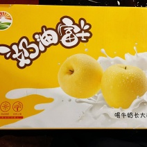 奶油富士红富士七斤大礼盒电商一件代发落地配