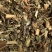 刘寄奴【包邮】三斤起发货可批量可零售量大从优