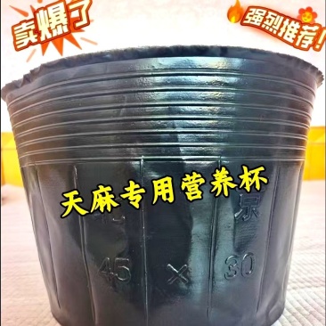 45*30营养钵，加厚黑色塑料营养杯，天麻专用营养桶