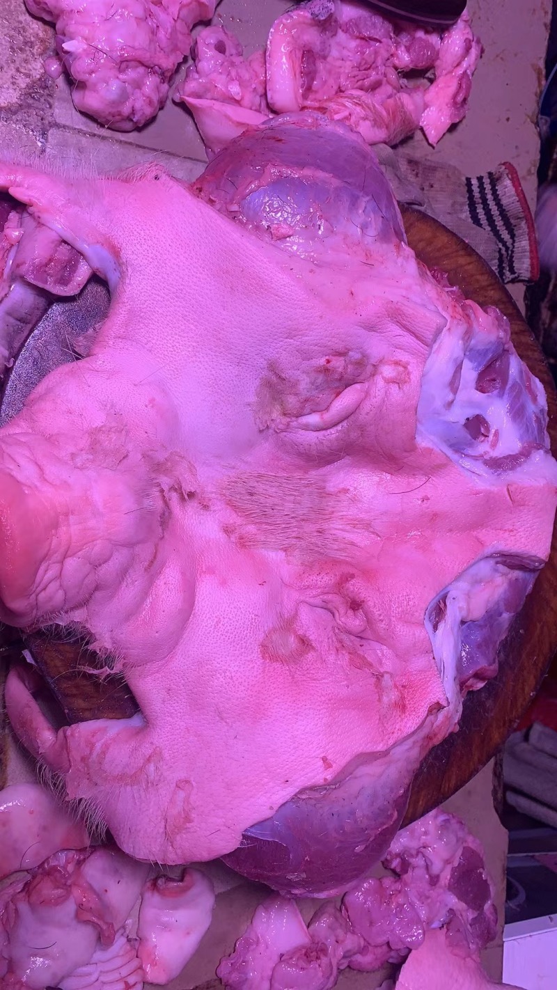 猪脸带肉。