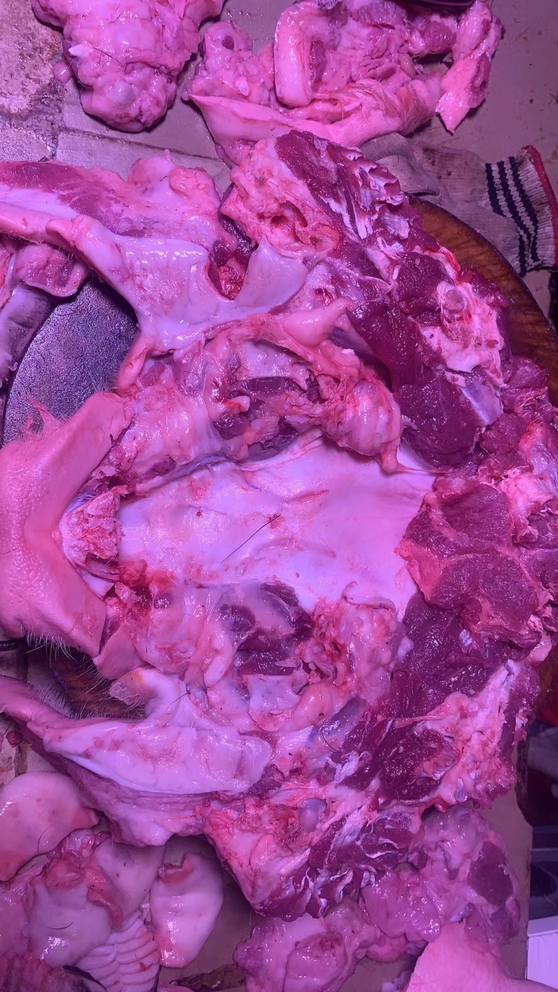 猪脸带肉。