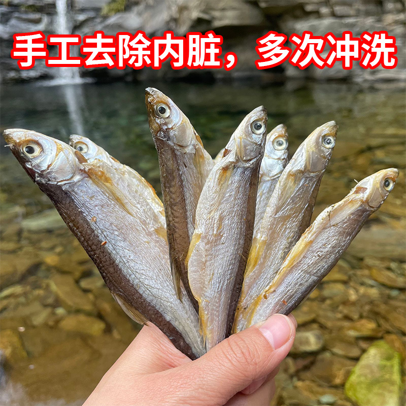 阳晒刁子鱼餐条鱼白条鱼翘嘴鱼干八成干度新鲜现杀
