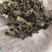 野生荔枝草蛤吗草水洗货