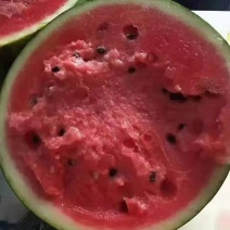 甜王西瓜，麒麟西瓜，大量供应，产地一手货源，质量保证