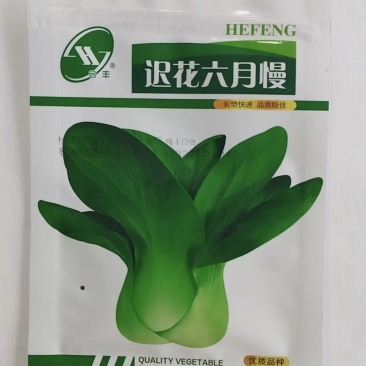 迟花六月慢-青梗菜种子耐抽薹耐寒耐热生长快优质