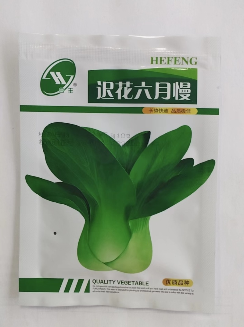 迟花六月慢-青梗菜种子耐抽薹耐寒耐热生长快优质