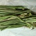 蕨菜、新鲜蕨菜、蕨菜干、新鲜野菜山野菜微菜