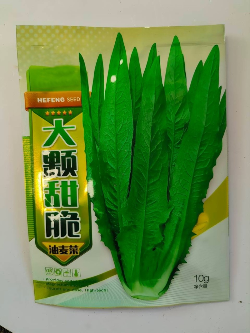 油麦菜种子-大颗甜脆抗热耐寒抗病强稳产适应性广