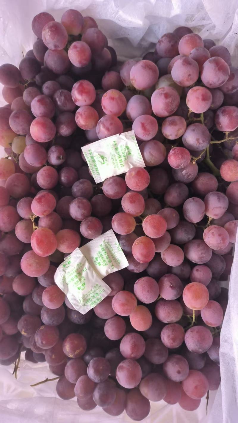 甘肃敦煌红提三面红二次果红提渣果次果14斤小白框装