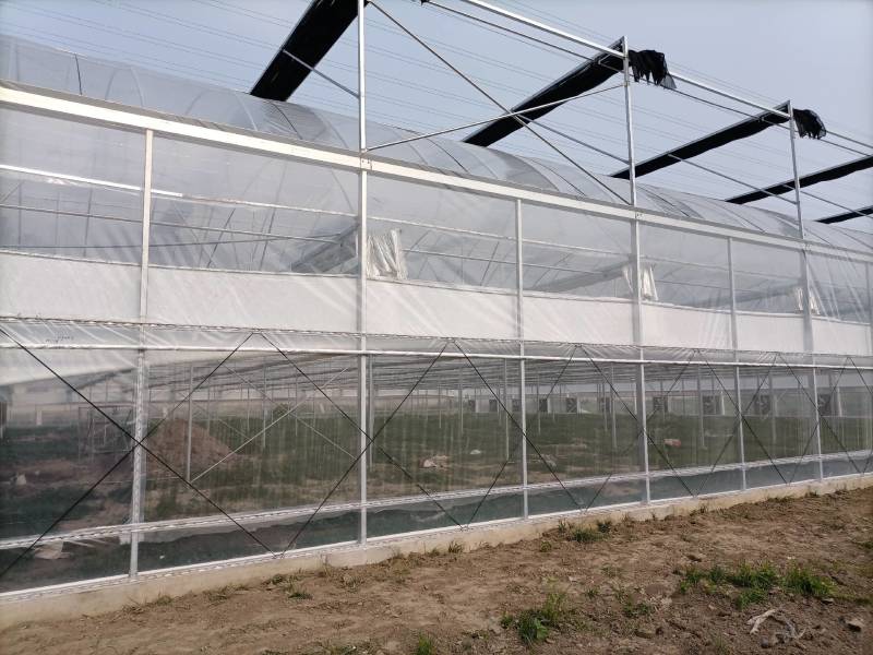 北京周边花卉苗木蔬菜种植基地出租
